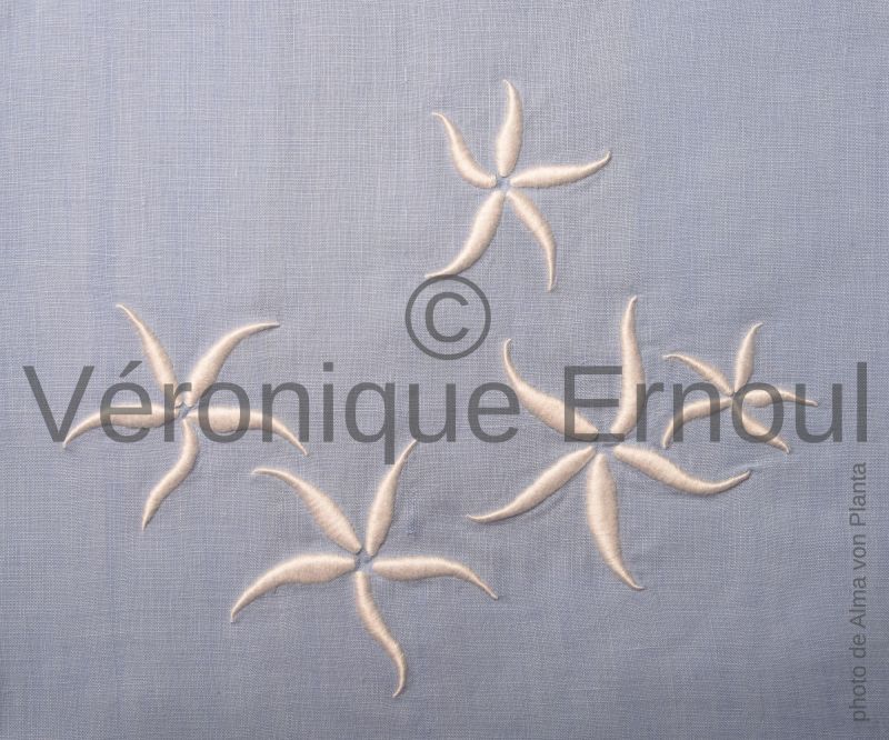 Nid d’étoiles de mer