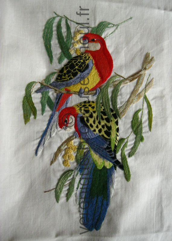 Perroquets brodés par Viviane C.