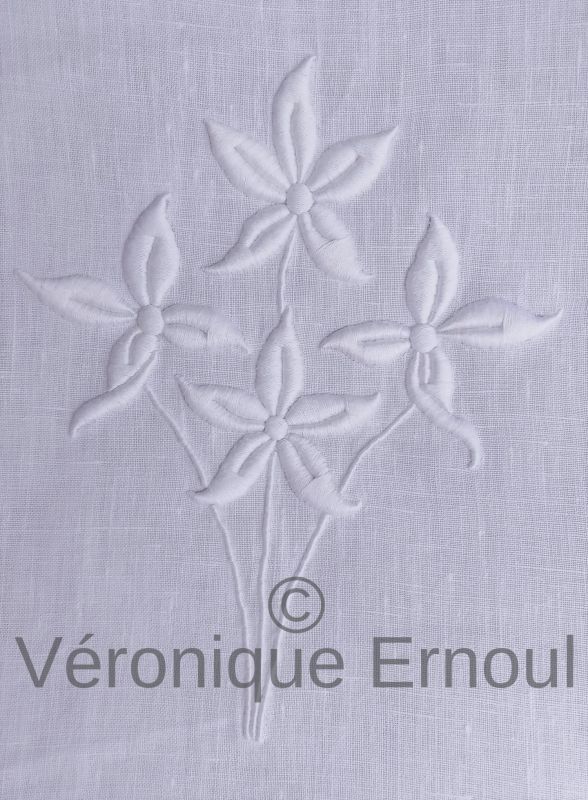 Bouquet d’edelweiss